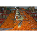 HEALTHY QUALITY IQF DICED CARROT